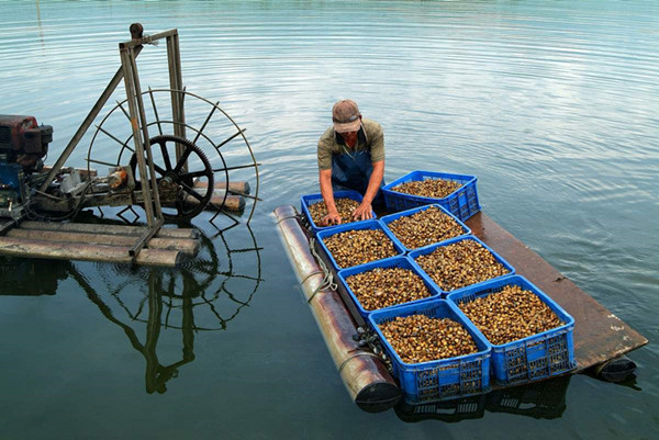 顺昌县通过短信平台 为渔业生产提供降温提醒